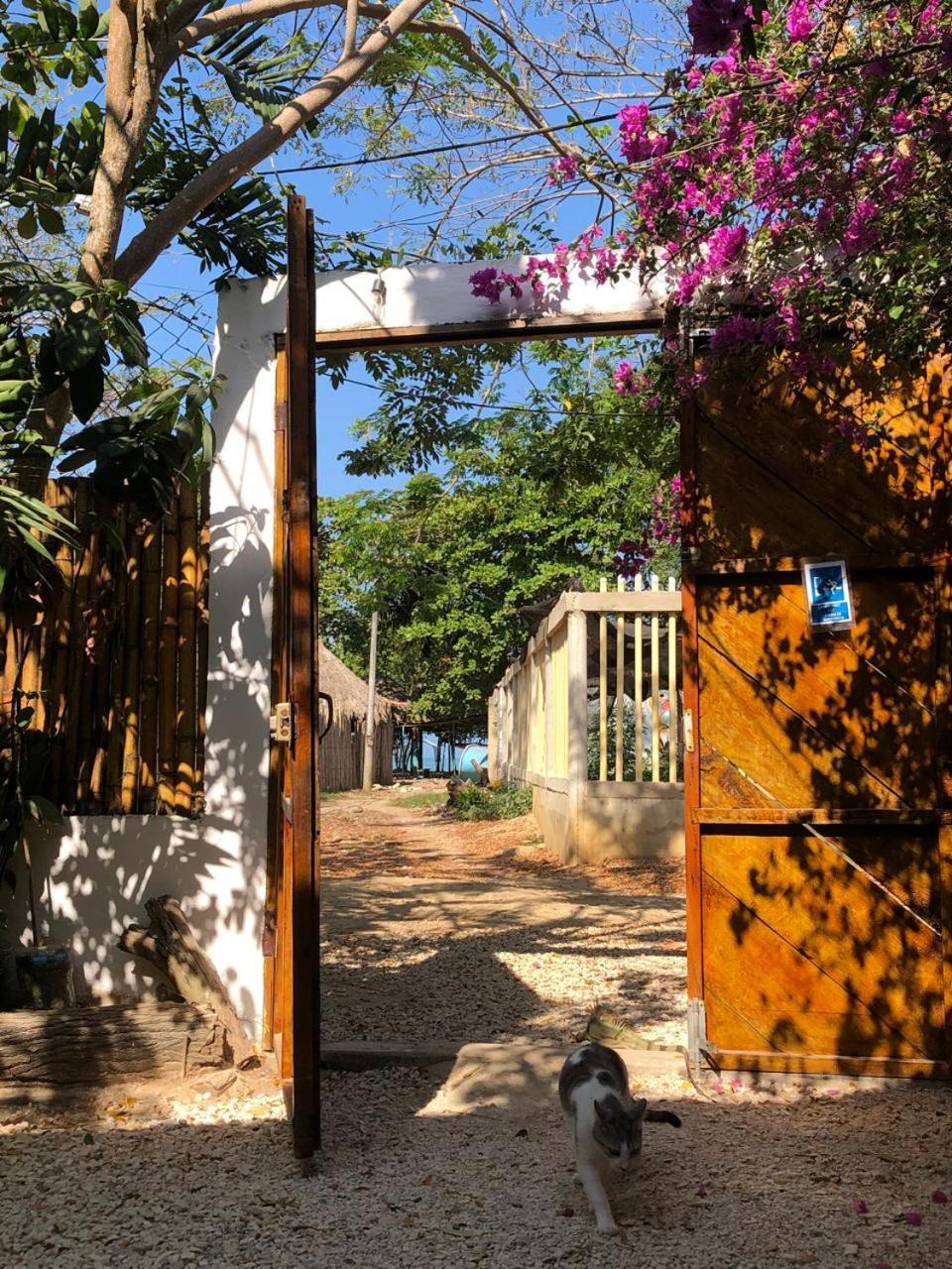 Bamboo Rincon Del Mar Hotel San Onofre Ngoại thất bức ảnh